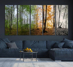Seasonal Forest Canvas Wall Art Print - Changing Seasons in