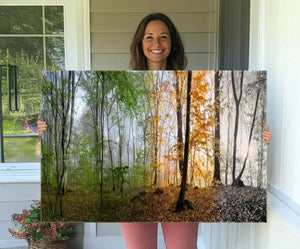 Seasonal Forest Canvas Wall Art Print - Changing Seasons in