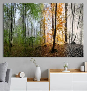Seasonal Forest Canvas Wall Art Print - Changing Seasons in