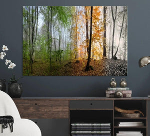 Seasonal Forest Canvas Wall Art Print - Changing Seasons in