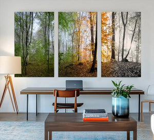 Seasonal Forest Canvas Wall Art Print - Changing Seasons in