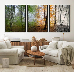 Seasonal Forest Canvas Wall Art Print - Changing Seasons in
