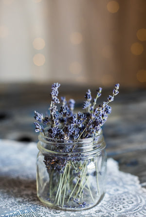 Lavender Vanilla Soy Candle