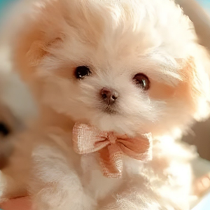 Interactive Plush Dog Toy Realistic Moving Puppy with Sound