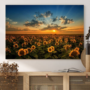 Sunflower Field Sunset Wall Art Canvas Print Wall Artwork,