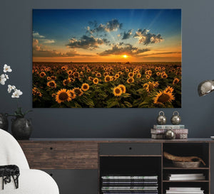 Sunflower Field Sunset Wall Art Canvas Print Wall Artwork,
