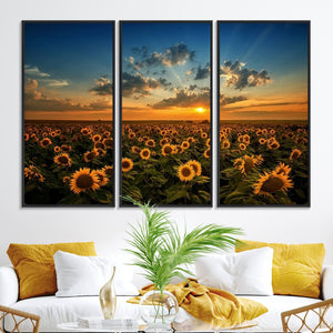Sunflower Field Sunset Wall Art Canvas Print Wall Artwork,