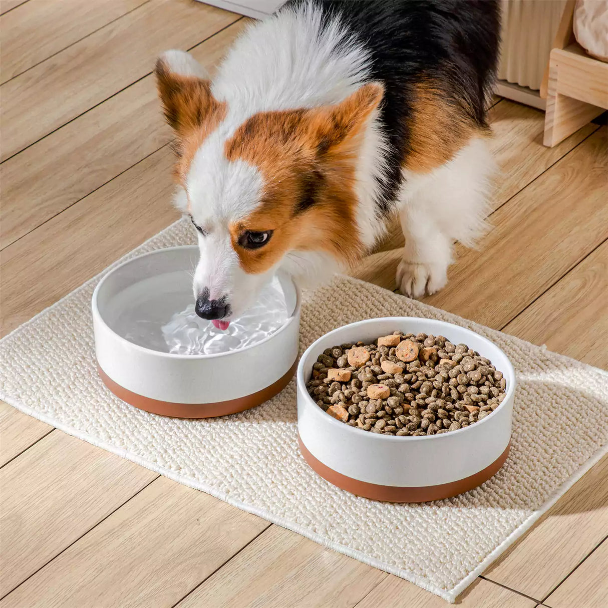 Tara Dog Bowls