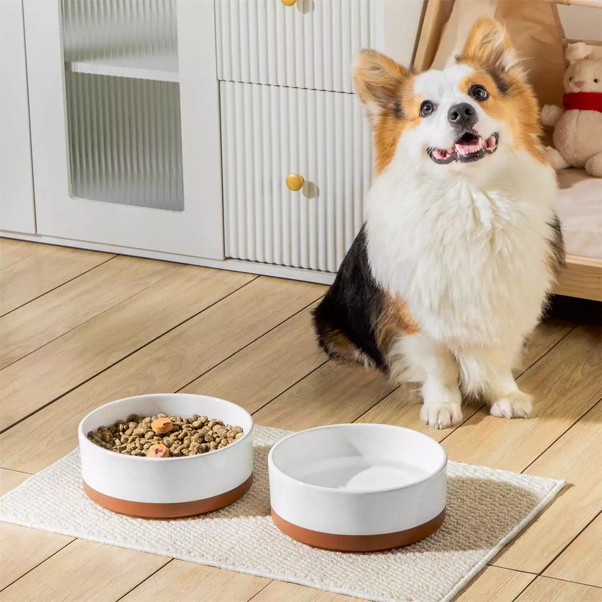 Tara Dog Bowls