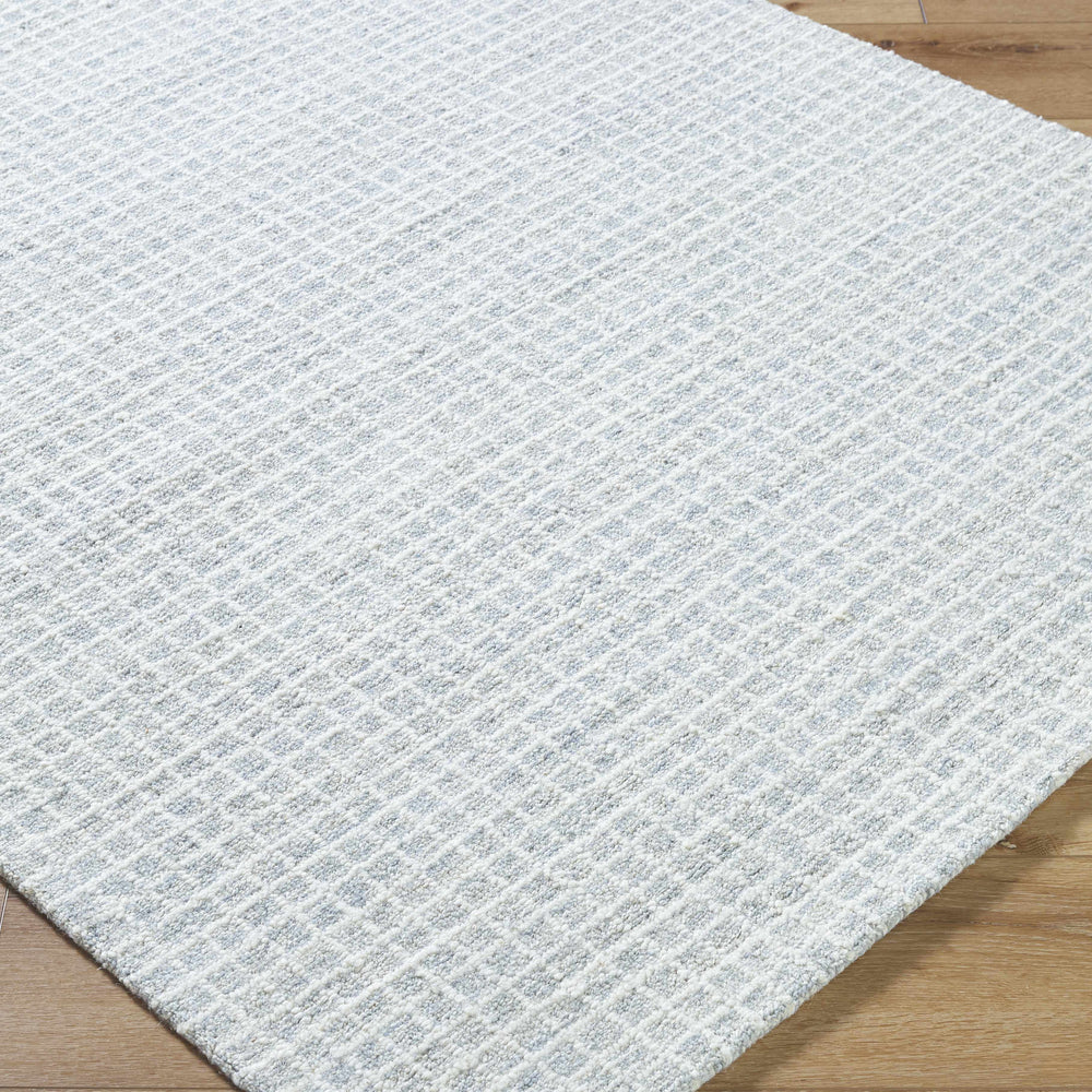 Anahid Soft Blue Area Rug