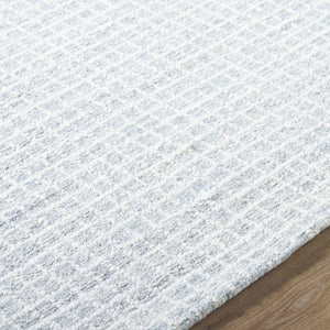 Anahid Soft Blue Area Rug