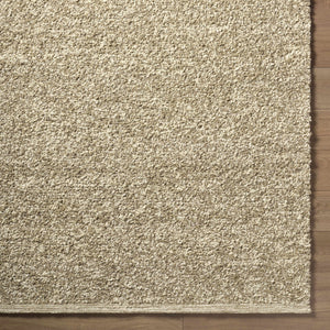 Teela Beige Area Rug