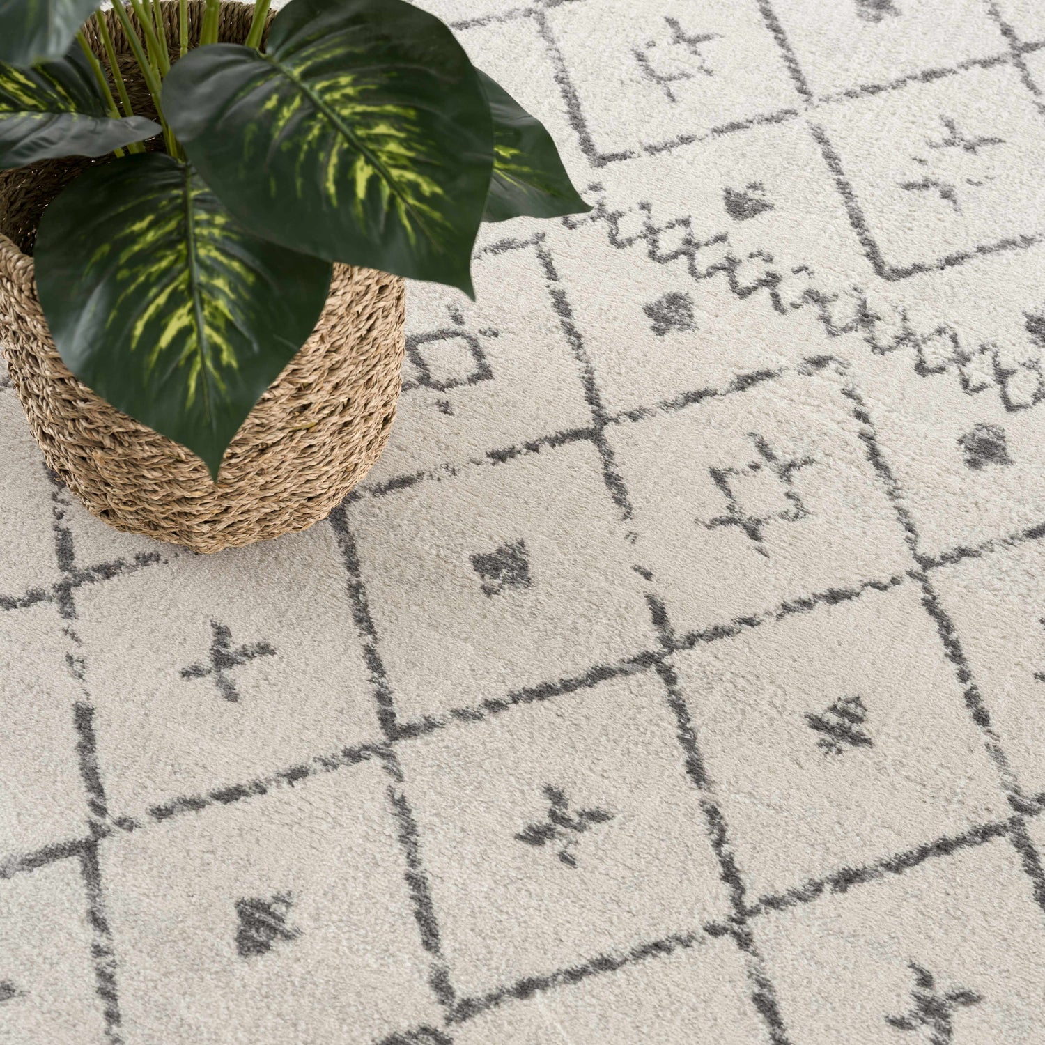 Tigris Area Rug - Clearance