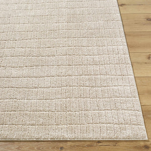 Cascade Dark Beige Area Rug