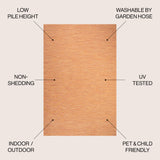 Ethan Modern Flatweave Solid Indoor/Outdoor Area Rug