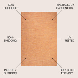 Ethan Modern Flatweave Solid Indoor/Outdoor Area Rug