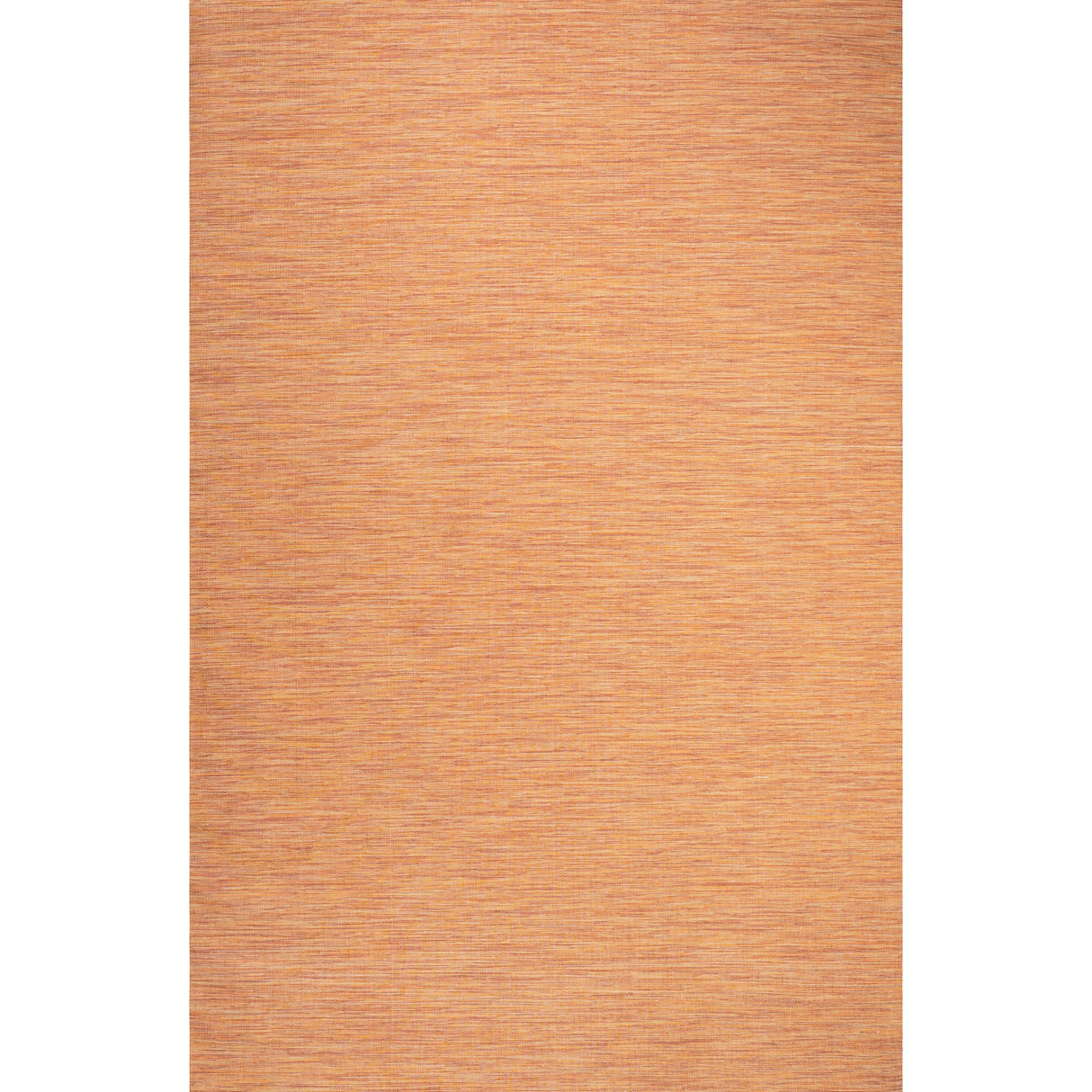 Ethan Modern Flatweave Solid Indoor/Outdoor Area Rug