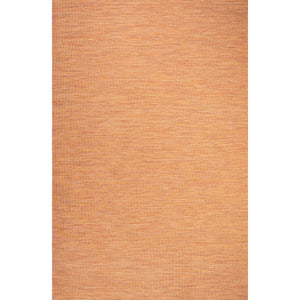 Ethan Modern Flatweave Solid Indoor/Outdoor Area Rug
