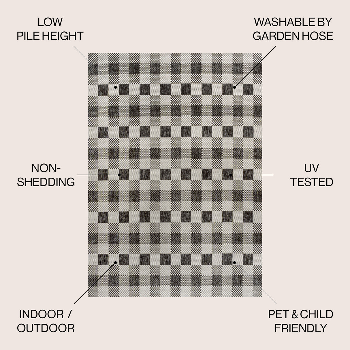 Darcy Traditional Geometric Bold Gingham Indoor/Outdoor Area Rug