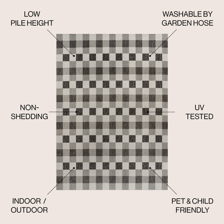 Darcy Traditional Geometric Bold Gingham Indoor/Outdoor Area Rug