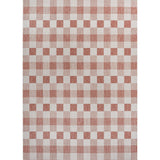 Darcy Traditional Geometric Simple  Gingham Indoor/Outdoor Area Rug