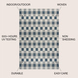 Darcy Traditional Geometric Simple  Gingham Indoor/Outdoor Area Rug