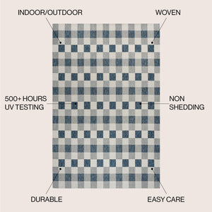 Darcy Traditional Geometric Simple  Gingham Indoor/Outdoor Area Rug