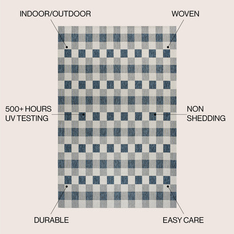 Darcy Traditional Geometric Simple  Gingham Indoor/Outdoor Area Rug