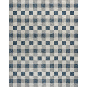 Darcy Traditional Geometric Simple  Gingham Indoor/Outdoor Area Rug