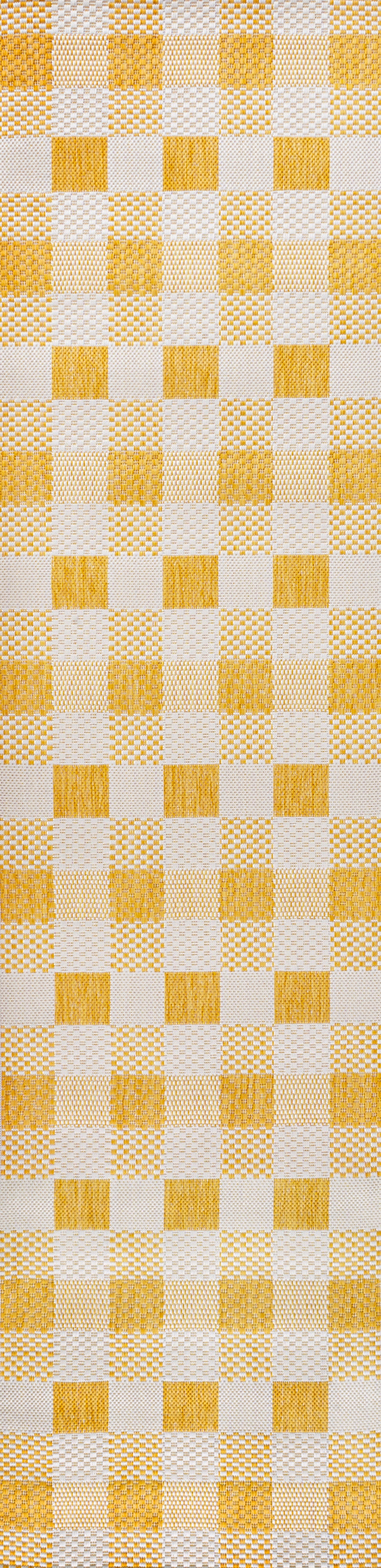 Darcy Traditional Geometric Bold Gingham Indoor/Outdoor Runner Rug