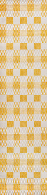 Darcy Traditional Geometric Bold Gingham Indoor/Outdoor Runner Rug