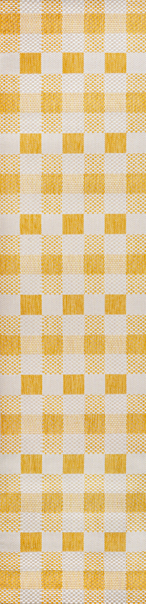 Darcy Traditional Geometric Bold Gingham Indoor/Outdoor Runner Rug