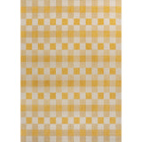 Darcy Traditional Geometric Simple  Gingham Indoor/Outdoor Area Rug