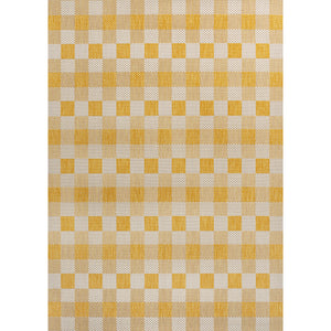 Darcy Traditional Geometric Simple  Gingham Indoor/Outdoor Area Rug