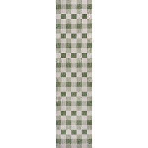 Darcy Traditional Geometric Bold Gingham Indoor/Outdoor Runner Rug