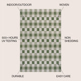 Darcy Traditional Geometric Simple  Gingham Indoor/Outdoor Area Rug