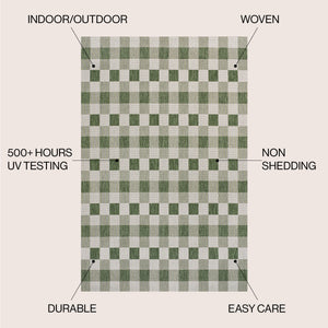 Darcy Traditional Geometric Simple  Gingham Indoor/Outdoor Area Rug