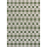 Darcy Traditional Geometric Simple  Gingham Indoor/Outdoor Area Rug