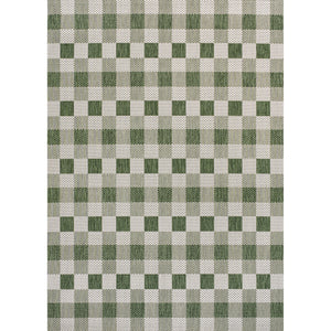 Darcy Traditional Geometric Simple  Gingham Indoor/Outdoor Area Rug