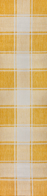 Sabine Traditional Farmhouse Bold Gingham Indoor/Outdoor Runner Rug