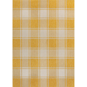Sabine Traditional Farmhouse Bold Gingham Indoor/Outdoor Area Rug