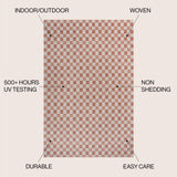 Aimee Traditional Cottage Chic Checkerboard Indoor/Outdoor Area Rug