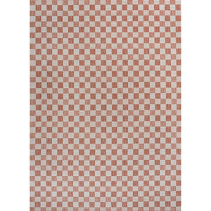 Aimee Traditional Cottage Chic Checkerboard Indoor/Outdoor Area Rug
