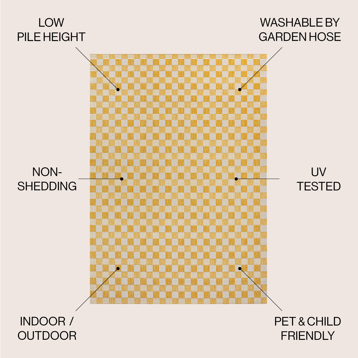 Aimee Traditional Cottage Chic Checkerboard Indoor/Outdoor Area Rug