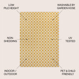 Aimee Traditional Cottage Chic Checkerboard Indoor/Outdoor Area Rug