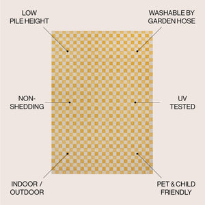 Aimee Traditional Cottage Chic Checkerboard Indoor/Outdoor Area Rug