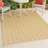 Aimee Traditional Cottage Chic Checkerboard Indoor/Outdoor Area Rug