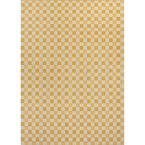 Aimee Traditional Cottage Chic Checkerboard Indoor/Outdoor Area Rug