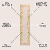 Isla Coastal Cottage Palm Frond Border Indoor/Outdoor Runner Rug