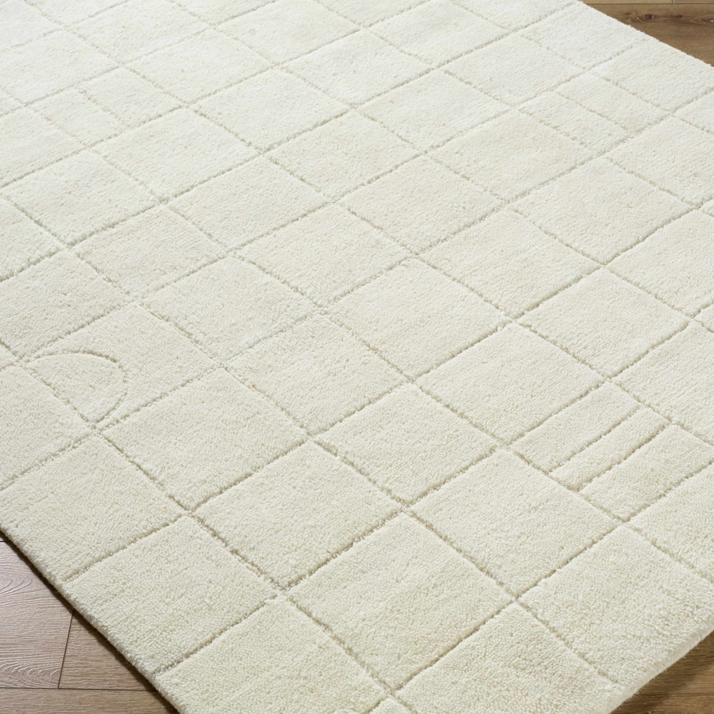 Tuuka Silver Beige Area Rug - Clearance